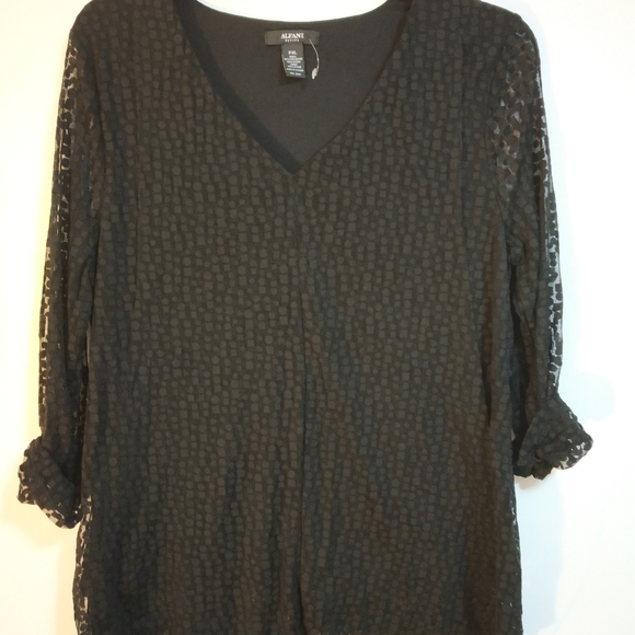 Alfani - Picture 4 of 6